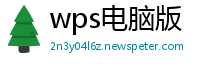 wps电脑版